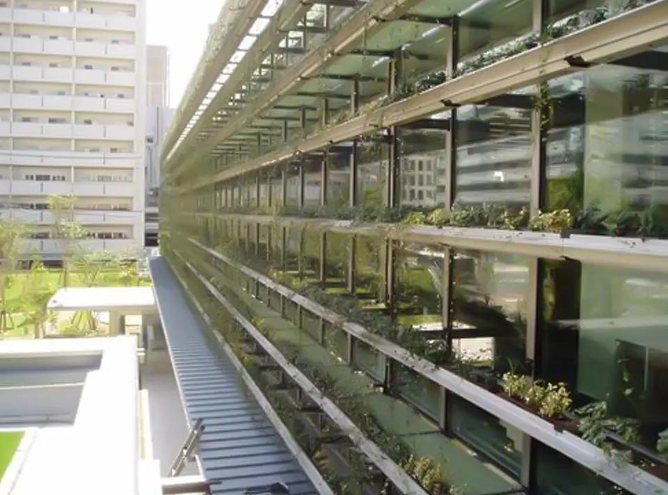 長崎市立図書館壁面緑化