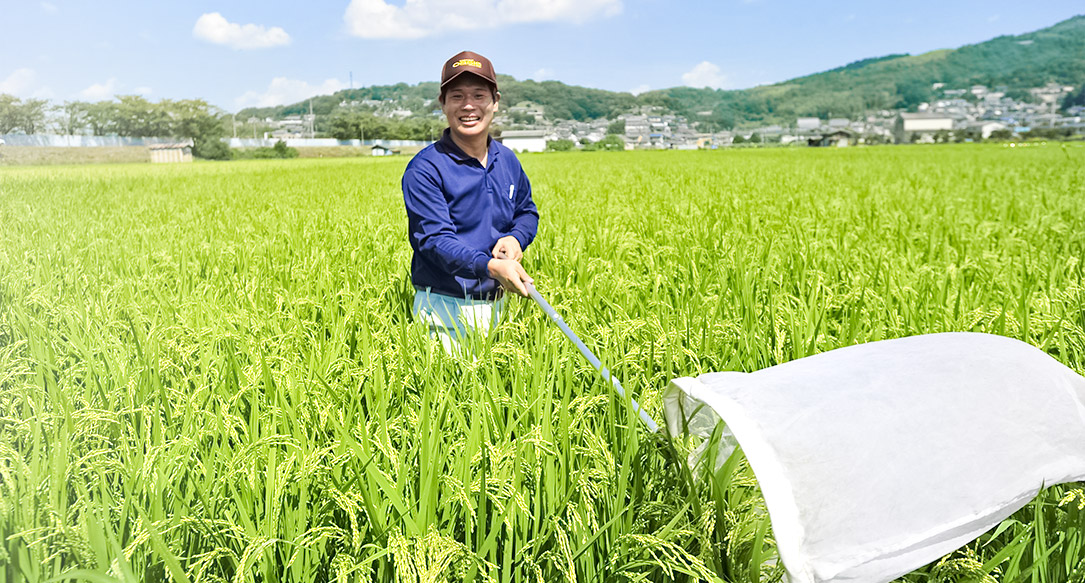 新卒採用応募の方はマイナビまで