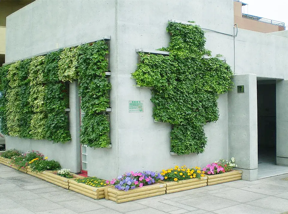 尾道市公衆トイレ壁面緑化